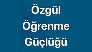 Özgül Öğrenme Güçlüğü nörogelişimsel bir bozukluktur.
