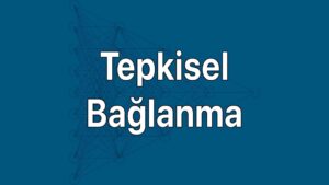 Tepkisel bağlanma belirtileri ve nedenleri