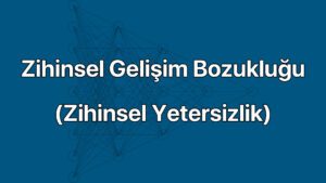 Zihinsel Gelişim Yetersizliği